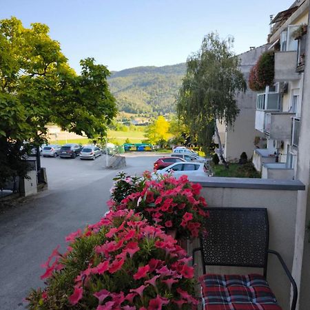 Apartman Snjeska Buzet Zewnętrze zdjęcie
